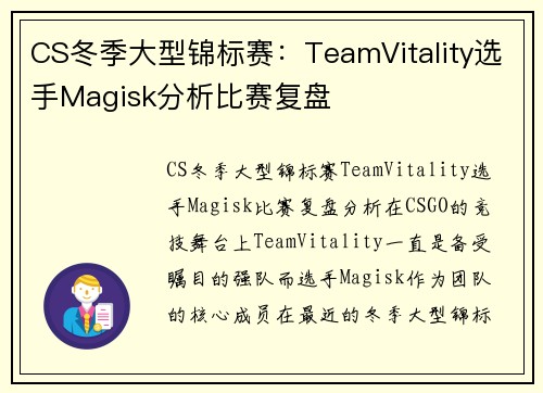 CS冬季大型锦标赛：TeamVitality选手Magisk分析比赛复盘