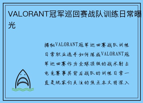 VALORANT冠军巡回赛战队训练日常曝光