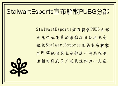 StalwartEsports宣布解散PUBG分部