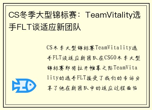 CS冬季大型锦标赛：TeamVitality选手FLT谈适应新团队